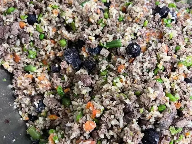 Beef and Vegetable Pupsicles