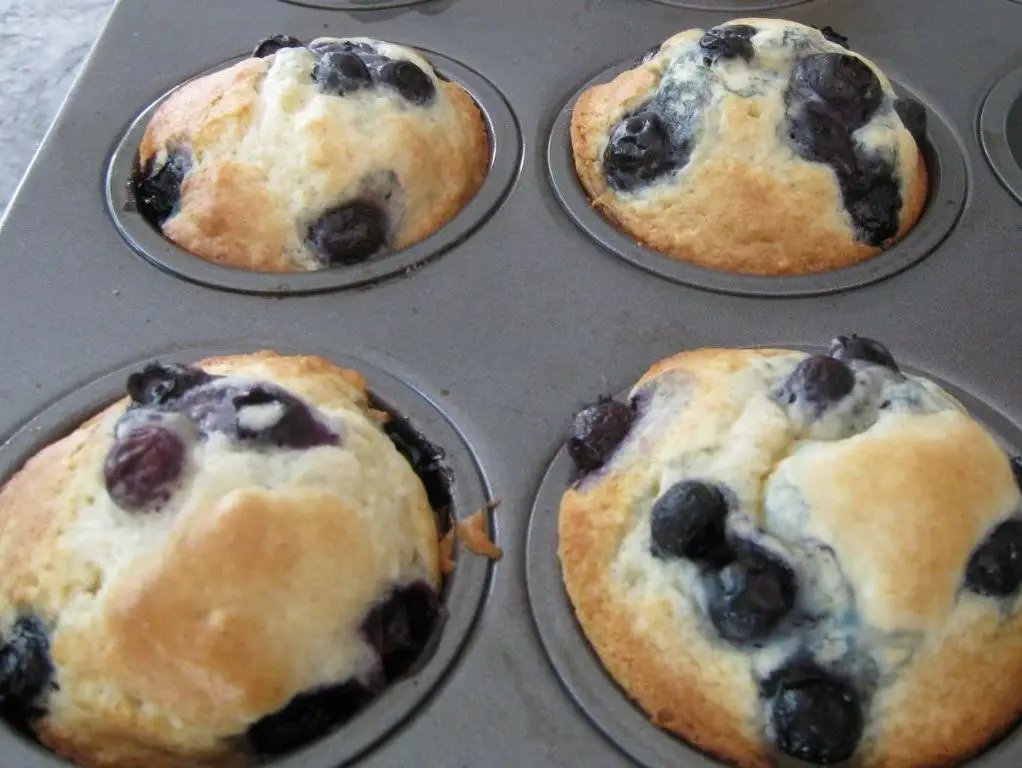 Biscuit Blueberry Muffins