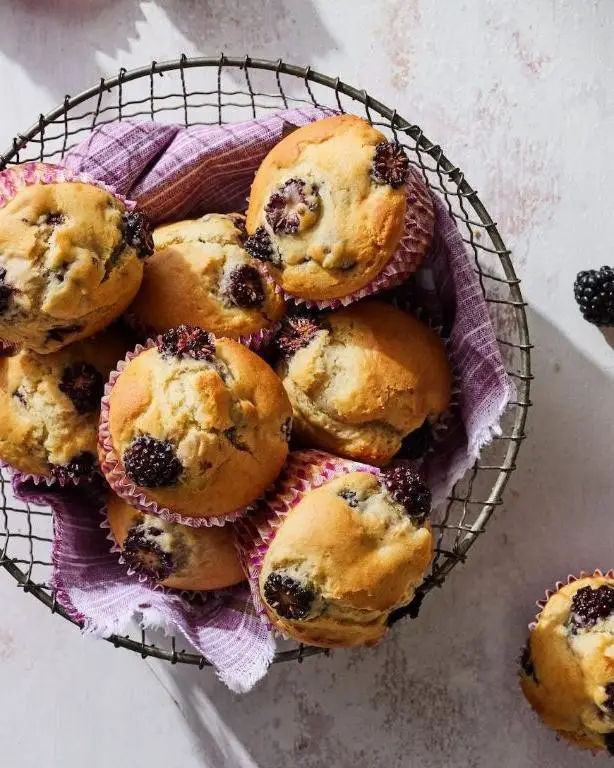 Blackberry Muffins