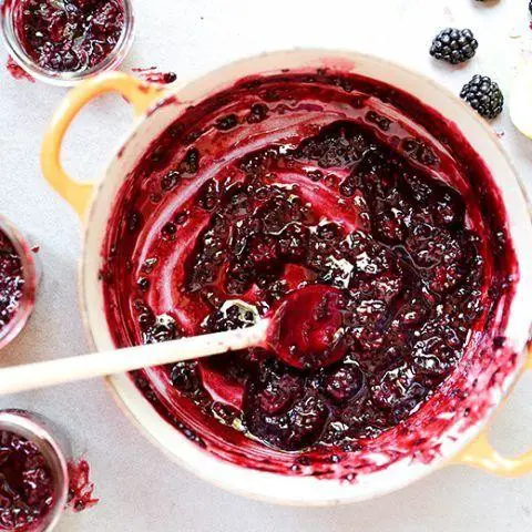 Blackberry Sauce