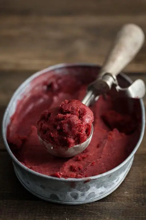 Blackberry Sorbet