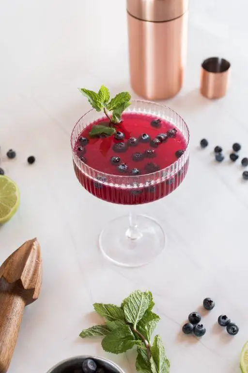 Blueberry Gin Fizz