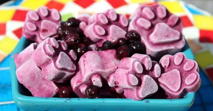 Blueberry Yogurt Pupsicles