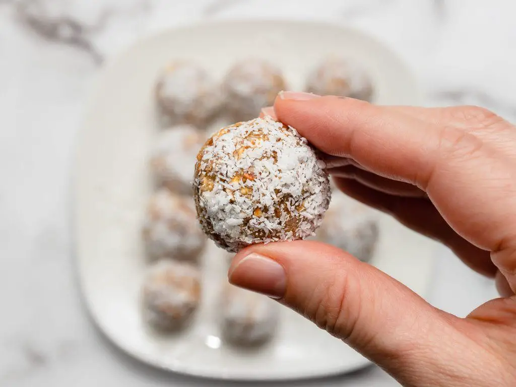 Coconut Oatmeal Bites