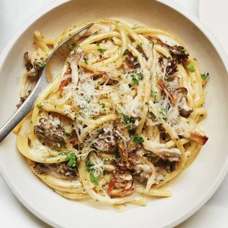 Creamy bydash mushroom pasta