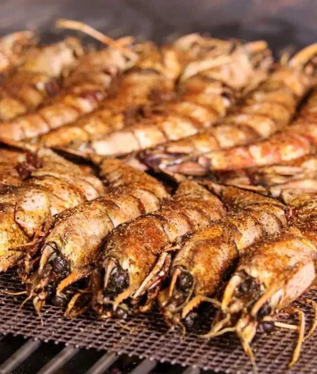 Grilled Shrimp Skewers on Recteq