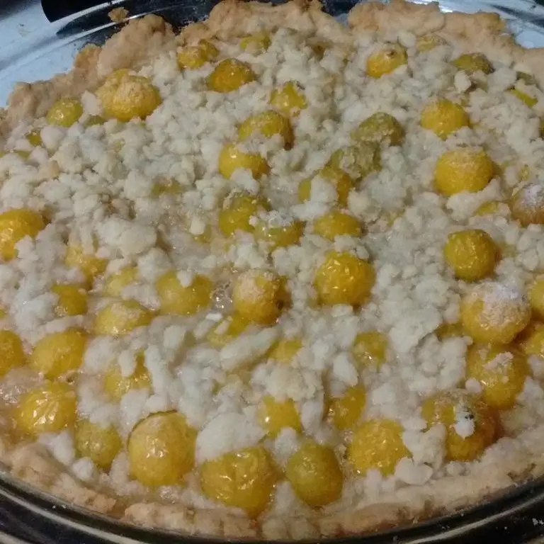 Ground Cherry Pie