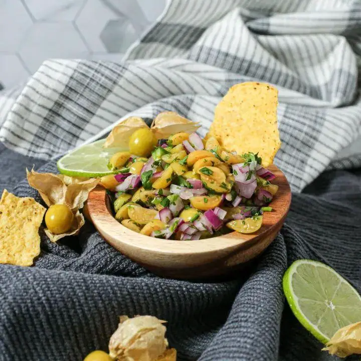 Ground Cherry Salsa