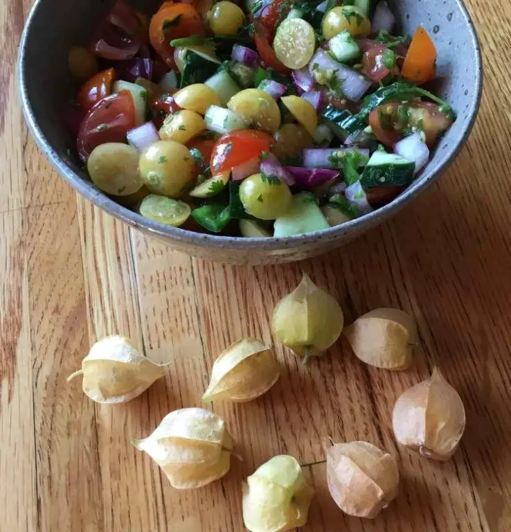 Ground Cherry Sauce