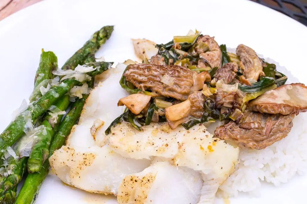 Halibut with Morel Mushroom Cream Sauce