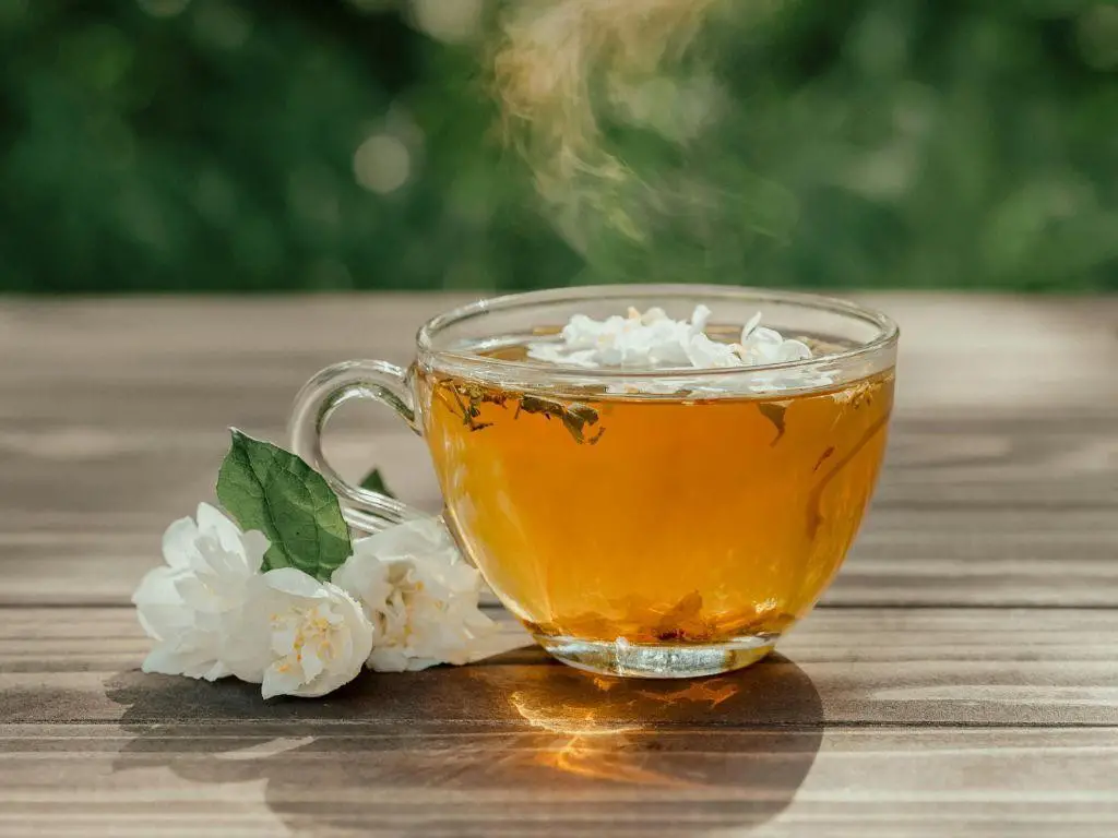 Hot Jasmine Tea