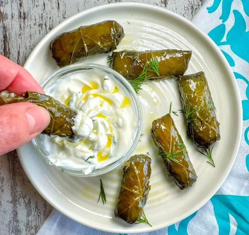 Lettuce Dolmades with Lemon Yogurt Sauce