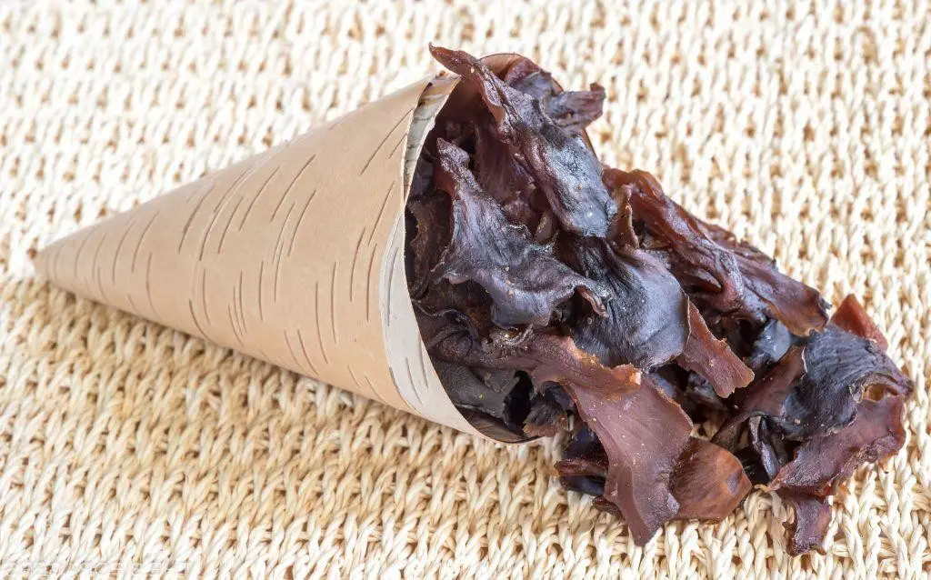 Maitake Mushroom Jerky