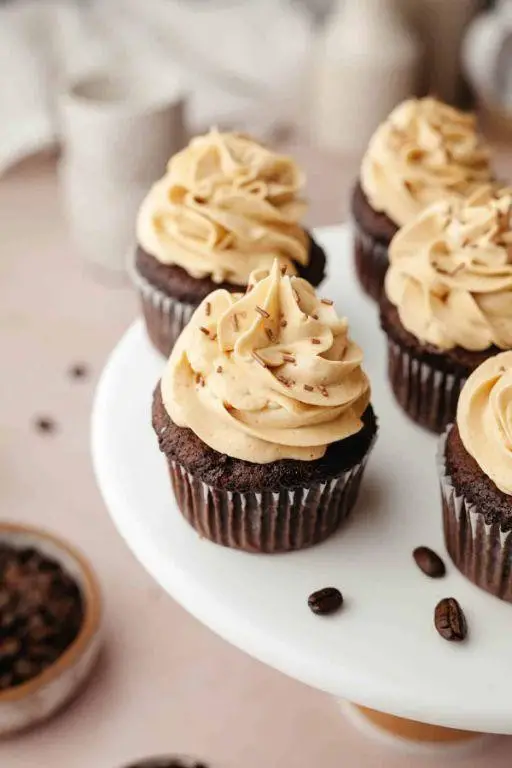 Mocha Chocolate Chip Cupcakes with Espresso Frosting