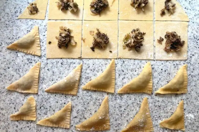 Mushroom and Cheese Kreplach
