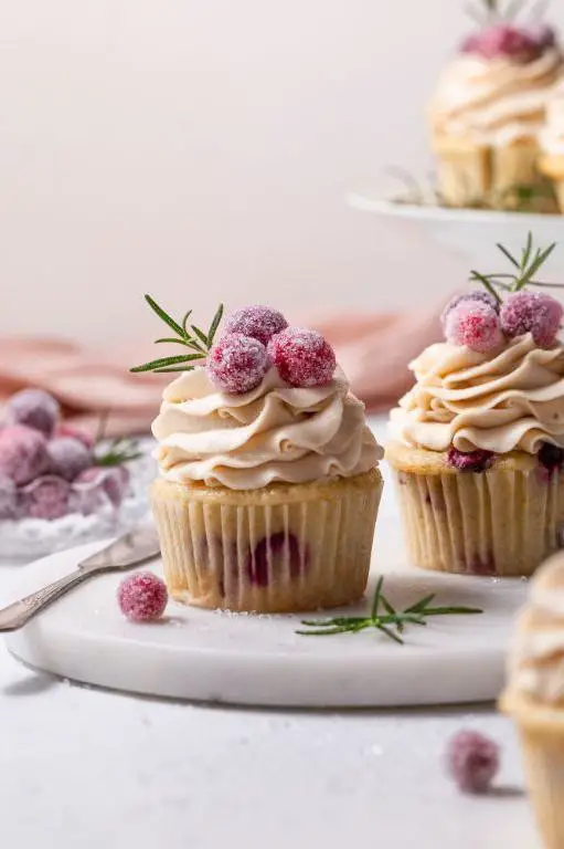 Orange Cranberry Vegan Cupcakes