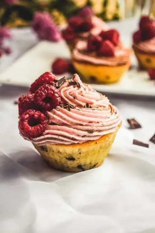 Raspberry Chocolate Chip Vegan Cupcakes