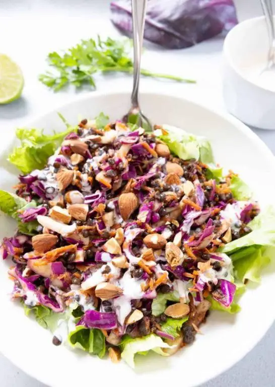 Red Cabbage Salad with Lentils and Herbs