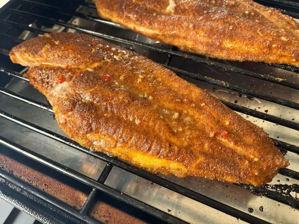 Smoky Traeger Catfish with Cajun Spices