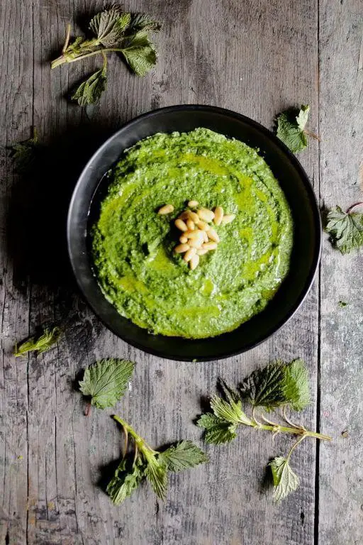 Stinging Nettle Pesto