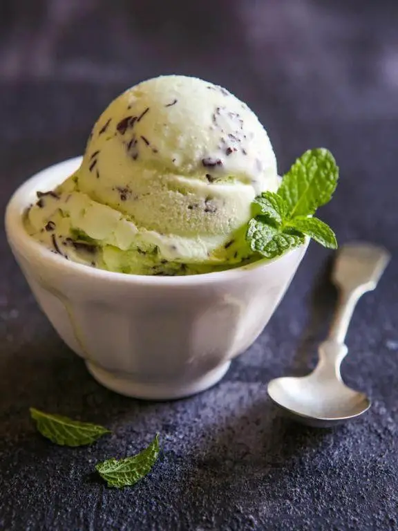 Teleflora Classic Mint Chocolate Chip Ice Cream