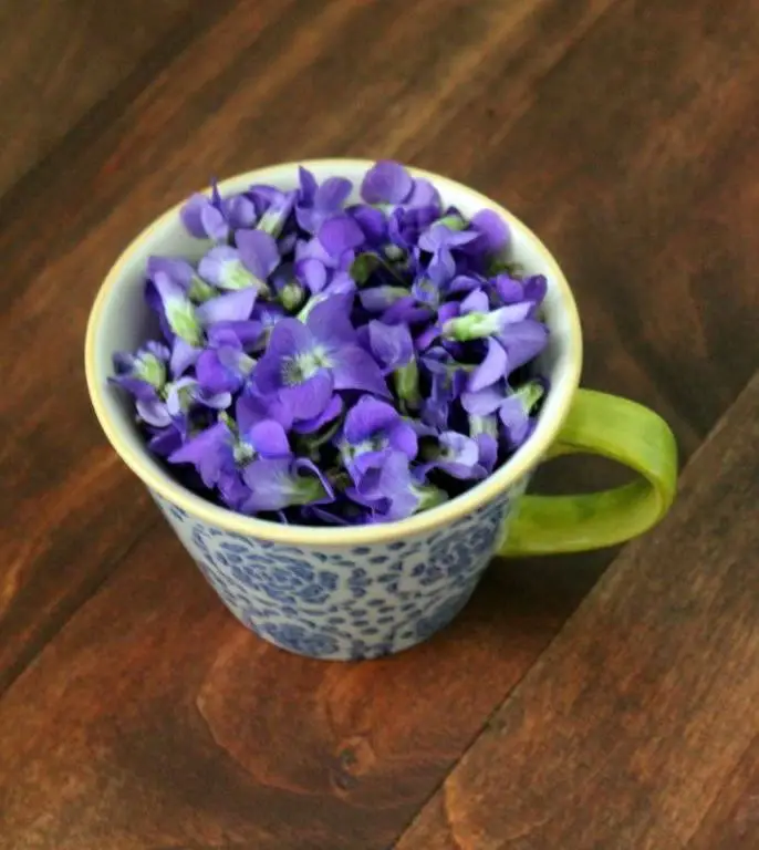 Teleflora Sweet Violet Syrup Pancakes